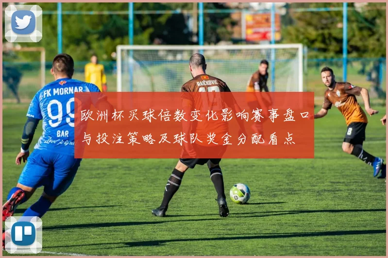 欧洲杯买球倍数变化影响赛事盘口与投注策略及球队奖金分配看点