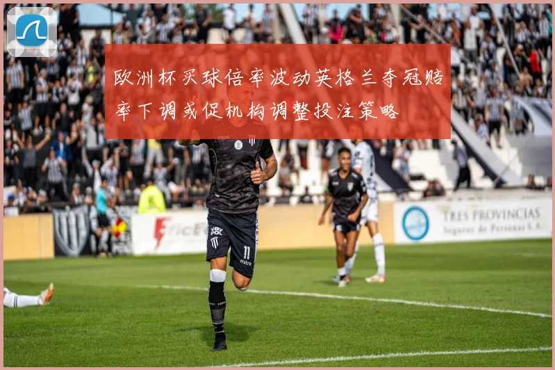 欧洲杯买球倍率波动英格兰夺冠赔率下调或促机构调整投注策略