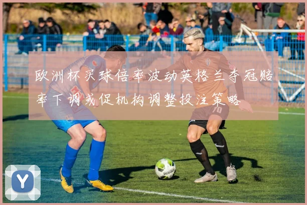 欧洲杯买球倍率波动英格兰夺冠赔率下调或促机构调整投注策略