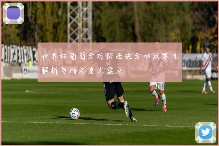 世界杯葡萄牙对阵西班牙回放赛况解析与精彩看点盘点