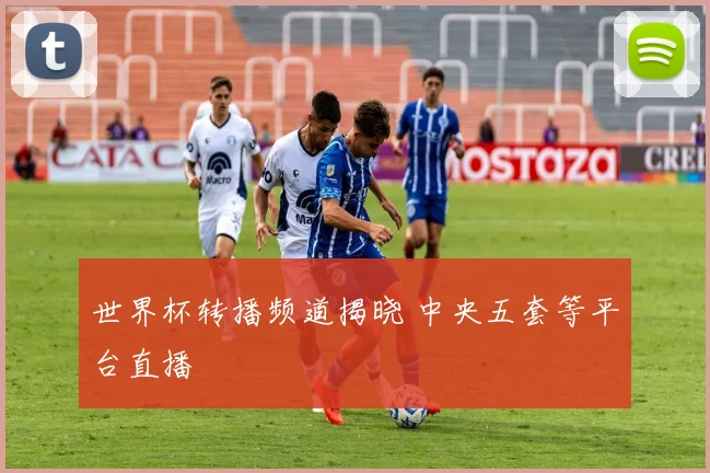 世界杯转播频道揭晓 中央五套等平台直播
