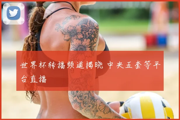 世界杯转播频道揭晓 中央五套等平台直播